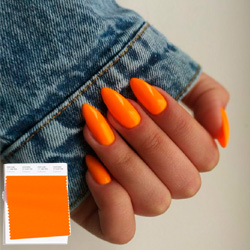 Pantone - модные оттенки