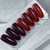 Гель-лак NAILSOFTHEDAY Let's special adele, 10 ml - Фото №3