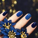 Winter manicure 2023-2024 (dark blue)