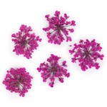 Dried flower nail art MollyLac Peach Pink 5 pcs