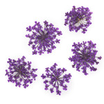 Декор для ногтей сухоцветы MollyLac Purple 5 шт
