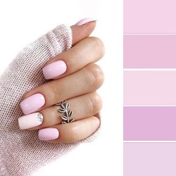 PANTONE 13-1716 Pale Rosette - нежно розовый