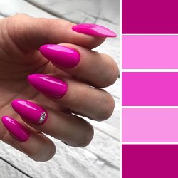 PANTONE 18-2330 Fuchsia Fedora - фуксия