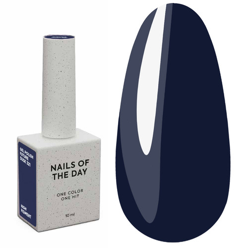 Gel polish NAILSOFTHEDAY Let's special future dusk, 10 ml - Фото №1