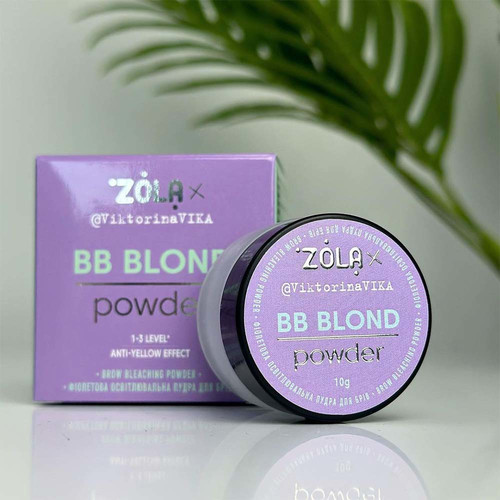Пудра ZOLA Viktorina Vika осветительная фиолетовая для бровей BB Powder 10 г - Фото №3