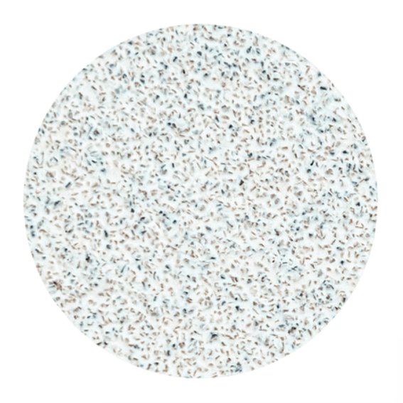 Сменные белые файлы для педикюрного диска PODODISC STALEKS PRO M 80 грит (50 шт) - Фото №2