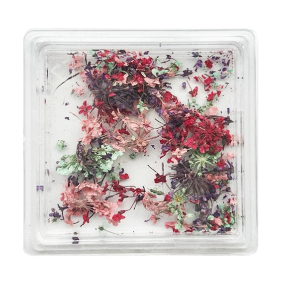 Dried flower nail art MANY BEAUTY in a box WARIANT 1 - Фото №1