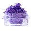 Стружка для декора ногтей Komilfo Foil Stripes №10 Purple (0,2 г) - Фото №4