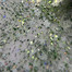 Гель-лак TUFI profi PREMIUM Unicorn 03 легкое цветение 5 мл (0311080) - Фото №2