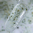 Гель для наращивания NAILSOFTHEDAY Build gel Flower 01 прозрачный 15 мл - Фото №2